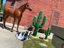 Load image into Gallery viewer, Life-Size Cactus Prop Set