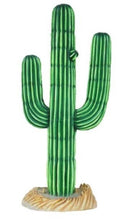 Load image into Gallery viewer, Life-Size Cactus Prop Set