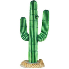 Load image into Gallery viewer, Life-Size Cactus Prop Set