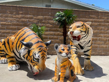 Load image into Gallery viewer, Life-Size Tiger Family