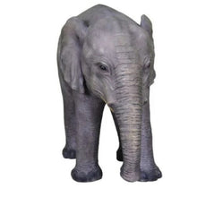Load image into Gallery viewer, Elephant Prop Bundle
