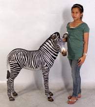 Load image into Gallery viewer, Life-Size Baby Zebra Statue