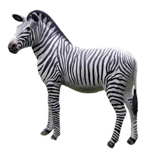 Load image into Gallery viewer, Life-Size Large Zebra