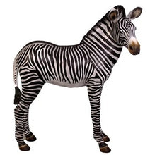 Load image into Gallery viewer, Life-Size Baby Zebra Statue