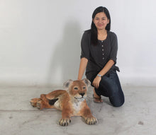 Load image into Gallery viewer, Life-Size Lion Family