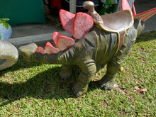 Load image into Gallery viewer, Dinosaur Bundle #1