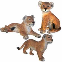 Load image into Gallery viewer, Table Top Baby Lion Cub Prop Bundle (3)