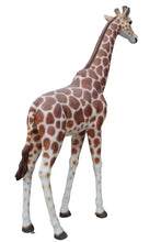 Load image into Gallery viewer, Massive Animal Trio Bundle