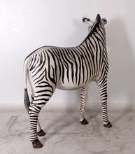 Load image into Gallery viewer, Life-Size Large Zebra