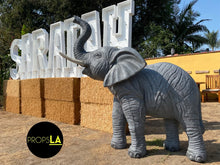 Load image into Gallery viewer, Elephant Prop Bundle
