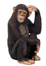 Load image into Gallery viewer, Life-Size Baby Monkey