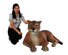 Load image into Gallery viewer, Life-Size Lioness (Laying Down)