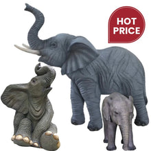 Load image into Gallery viewer, Elephant Prop Bundle