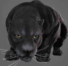 Load image into Gallery viewer, Black Panther Statue