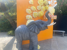 Load image into Gallery viewer, Massive Animal Trio Bundle