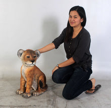 Load image into Gallery viewer, Table Top Baby Lion Cub Prop Bundle (3)