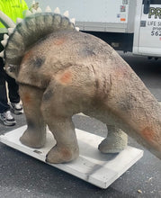 Load image into Gallery viewer, Life-Size Triceratops