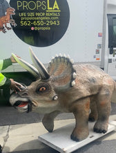 Load image into Gallery viewer, Life-Size Triceratops