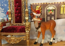 Load image into Gallery viewer, ‘Santa’ Prop Bundle