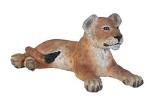 Load image into Gallery viewer, Table Top Baby Lion Cub Prop Bundle (3)
