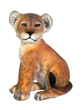 Load image into Gallery viewer, Table Top Baby Lion Cub Prop Bundle (3)
