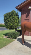 Load and play video in Gallery viewer, Life-Size Horse (Brown)

