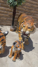 Load and play video in Gallery viewer, Life-Size Tiger Family
