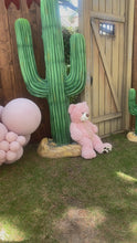 Load and play video in Gallery viewer, Life-Size Cactus Prop Set
