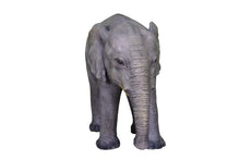 Load image into Gallery viewer, Small Baby Elephant
