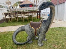 Load image into Gallery viewer, Life-Size Baby Apatosaurus Dinosaur with Saddle
