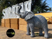Load image into Gallery viewer, Elephant Prop Bundle
