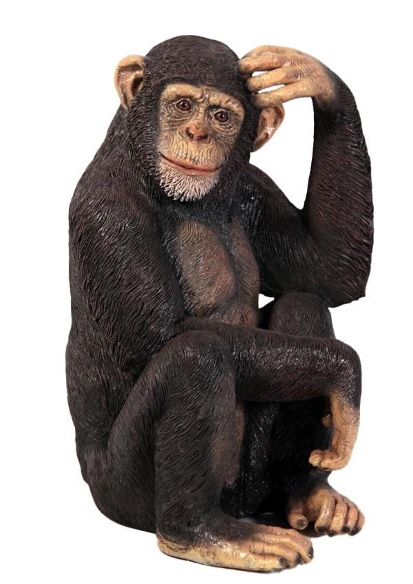 Life-Size Baby Monkey