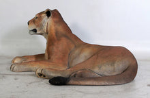 Load image into Gallery viewer, Life-Size Lioness (Laying Down)
