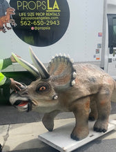 Load image into Gallery viewer, Life-Size Triceratops
