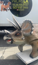 Load image into Gallery viewer, Life-Size Triceratops
