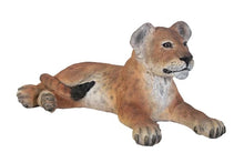 Load image into Gallery viewer, Table Top Baby Lion Cub Prop Bundle (3)
